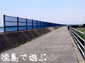 ���C�� ����